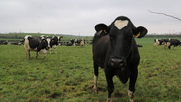 <p>The payments are expected to be worth between €66 and €77 per eligible hectare.</p>