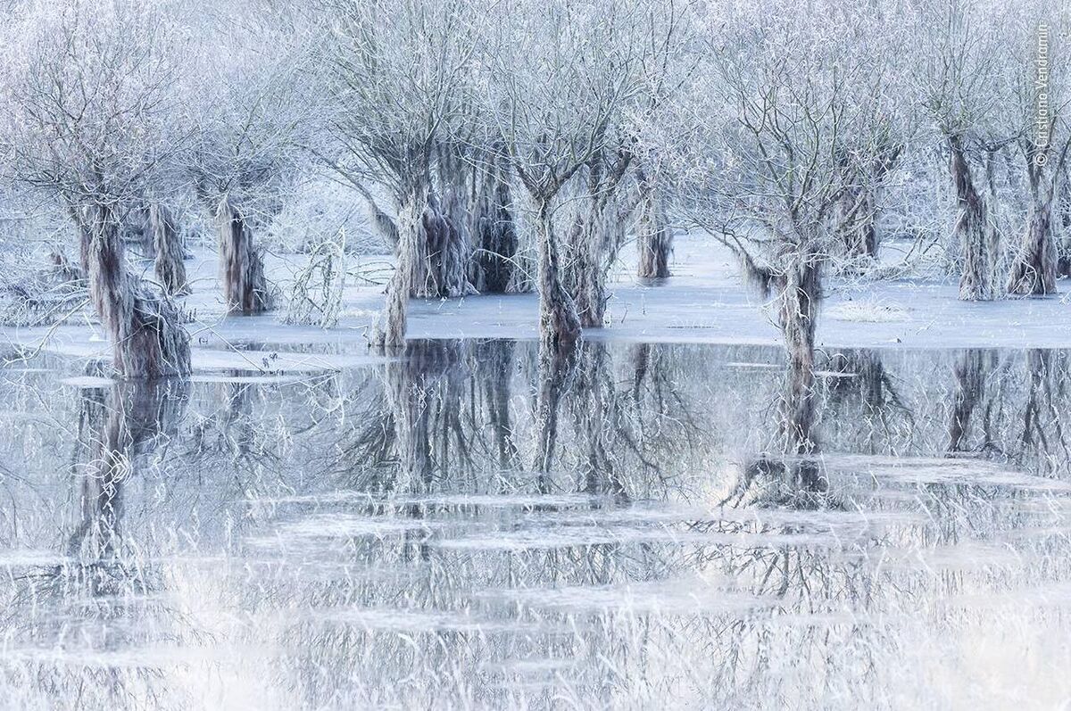 Lake of ice by Cristiano Vendramin
