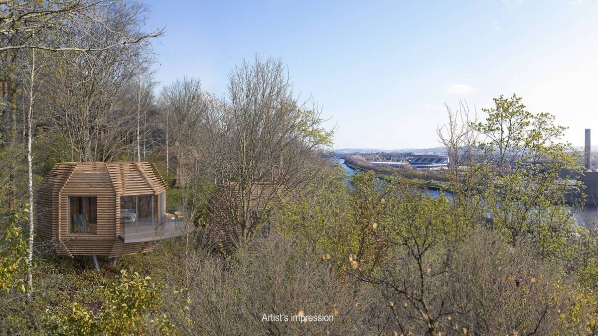 Nests for guests in €4m 'tree-star' investment in Cork city's lofty Montenotte - Vimarsana News