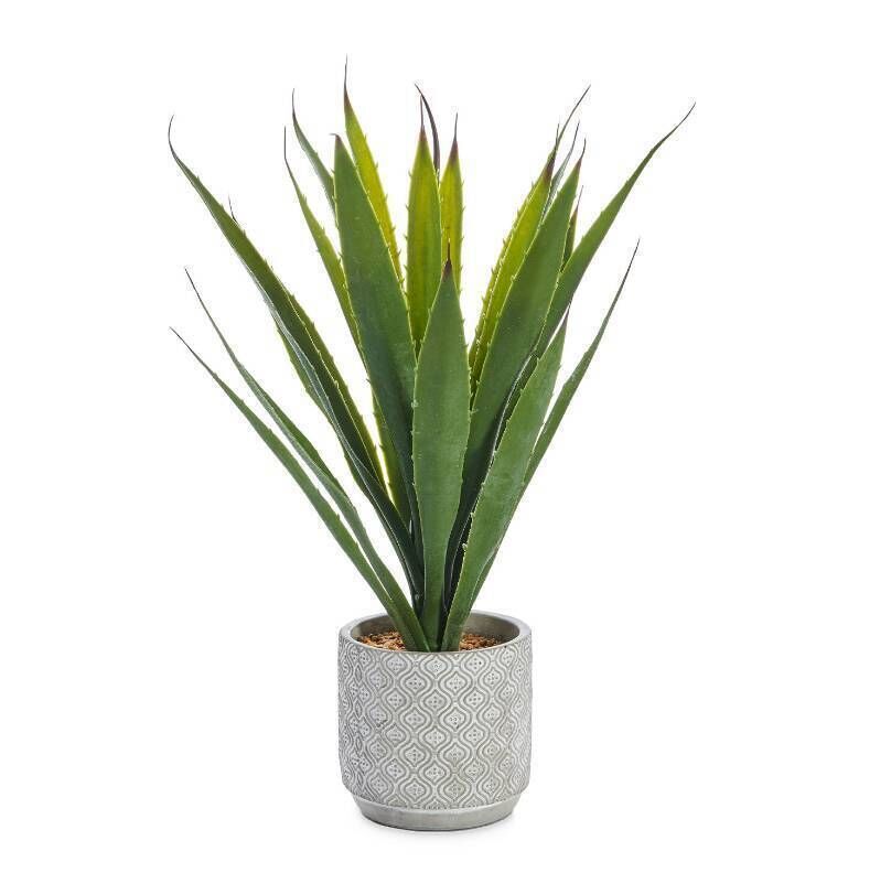 Artificial Aloe Vera Plant from Home Store + More