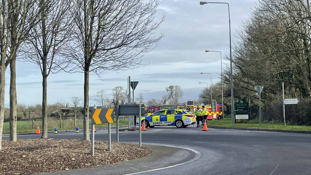 'A tragic loss': Limerick mourning as boy, 12, dies after car he was driving collides with lorry - Vimarsana News