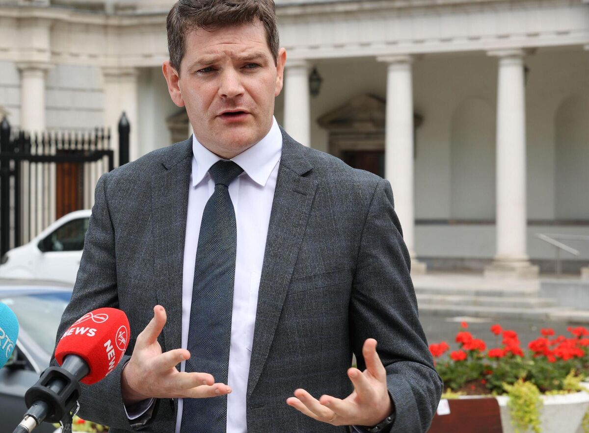 Minister of state with responsibility for planning Peter Burke said plans for 'tens of thousands' of homes are being held up due to judicial reviews. File picture: Sam Boal/RollingNews