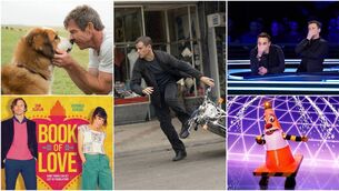 <p>A Dog's Purpose; The Bourne Ultimatum; Ant and Dec's Limitless Win; The Masked Singer; and Book of Love on television this evening</p>