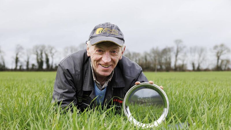 12 Irish cereal growers honoured in Grain Supplier Awards