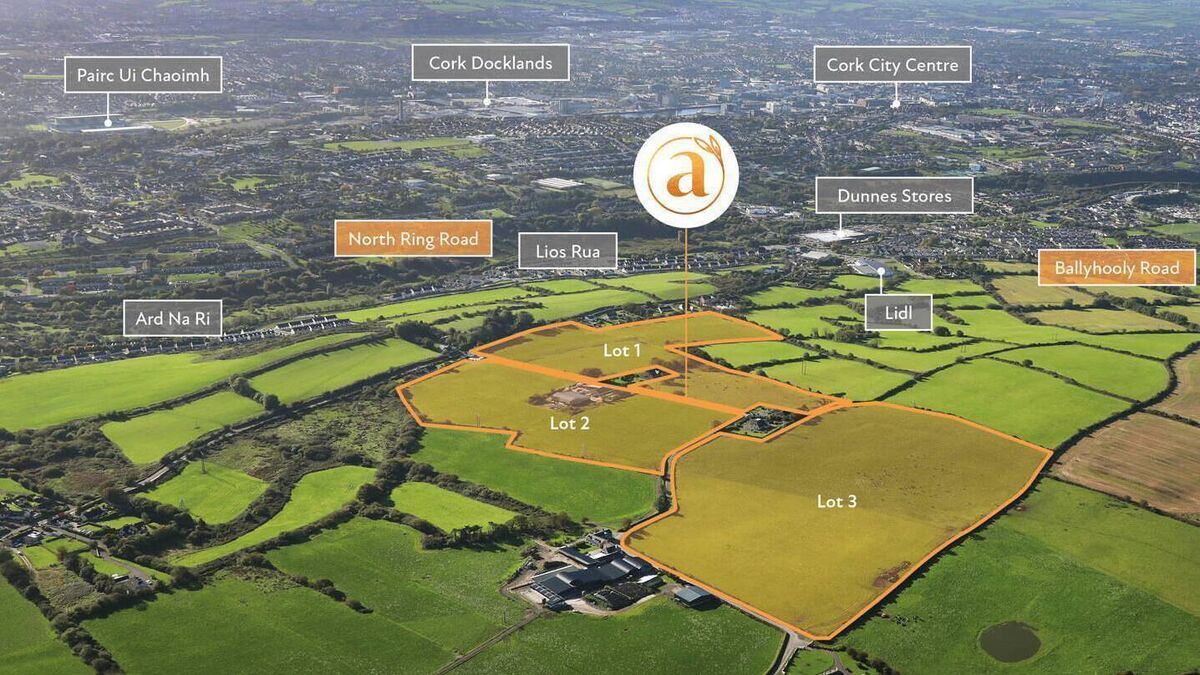 Instant wave of interest stirred by prime lands near Cork city - Vimarsana News