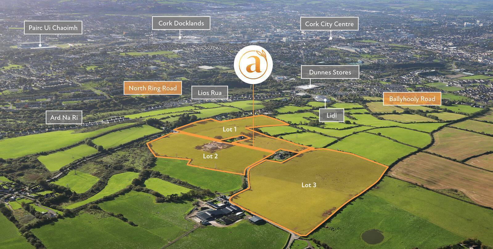 Instant wave of interest stirred by prime lands near Cork city