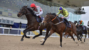<p>Sunwalk and Andy Slattery (far side) beats Jaafel at Dundalk earlier this month. Picture: Healy Racing</p>