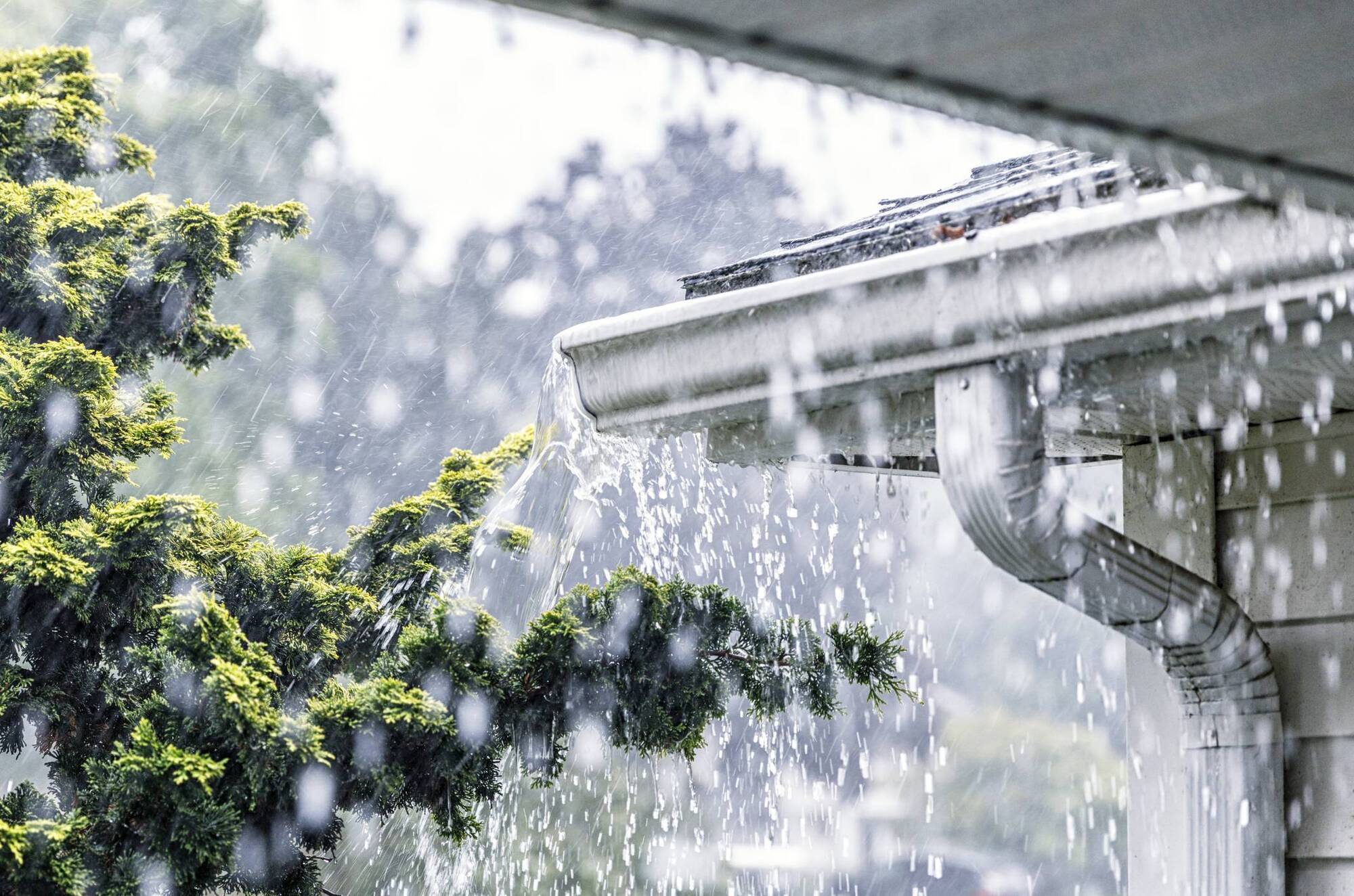 Batten down the hatches: How to stormproof your home