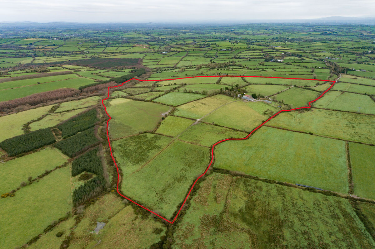 According to the agent, parts of the land would benefit from drainage works but in general, the land is of good quality.