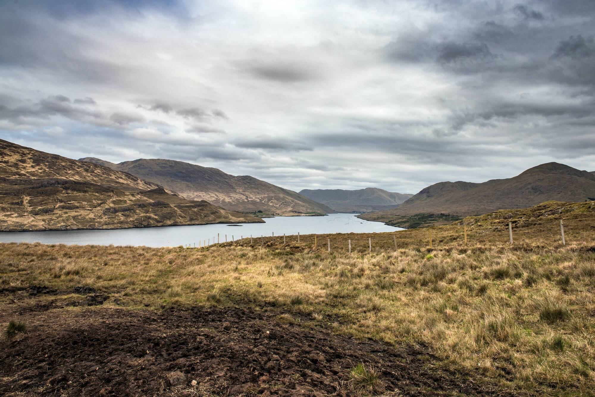 Anja Murray: We have done a great deal of damage to bogs in a very short space of time
