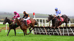 <p>Mr Fred Rogers, near side, jumps the last before going on to win at Punchestown in November.  Picture: Healy Racing</p>