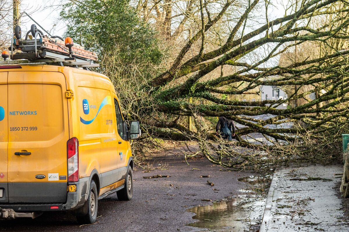 A tree fell down near Dunmanway Hospital during Storm Eunice today, completely blocking the road. The ESB arrived at the scene to deal with the fallen electric cables. Picture: Andy Gibson.