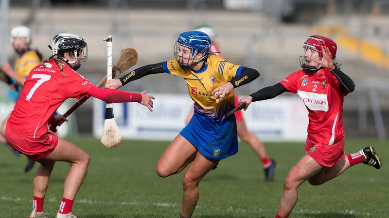 Cork begin with a win but Davy Fitzgerald sent off in league opener Cork begin with a win but Davy Fitzgerald sent off in league opener