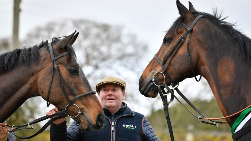 Cheltenham countdown: Constitution Hill and Jonbon preparing to battle for supremacy