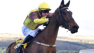 <p>Burning Victory was highly tried on her most recent outing and ran well despite being beaten a long way. 	Picture: Healy Racing</p>