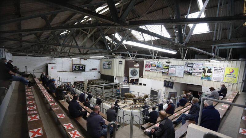 Removal of the last Covid-19 rules at marts