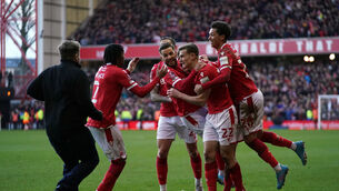 Leicester fan Cameron Toner has been punished for invading the pitch and assaulting three Nottingham Forest players (PA)