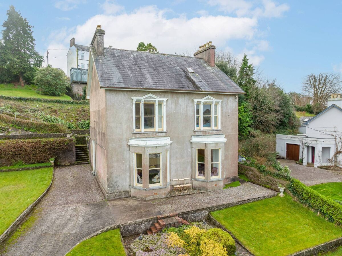 Close-up of Beech Crest