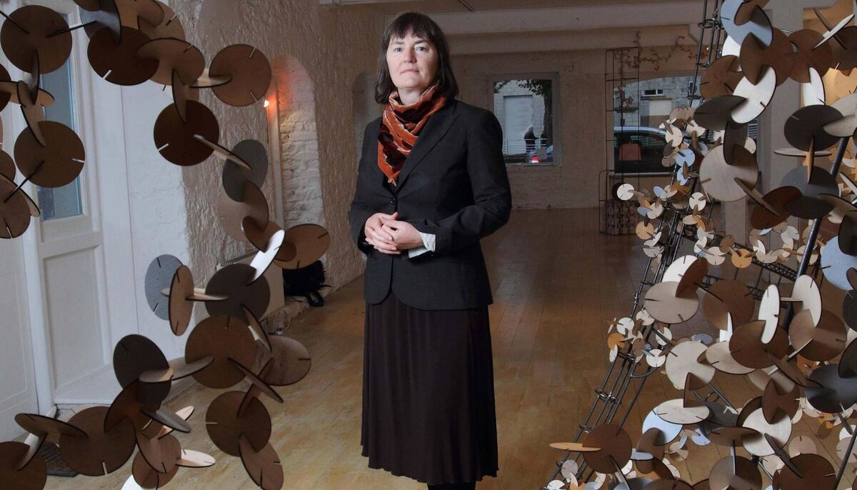 Maud Cotter in 2013 in the CIT Wandesford Quay Gallery. Picture: Darragh Kane