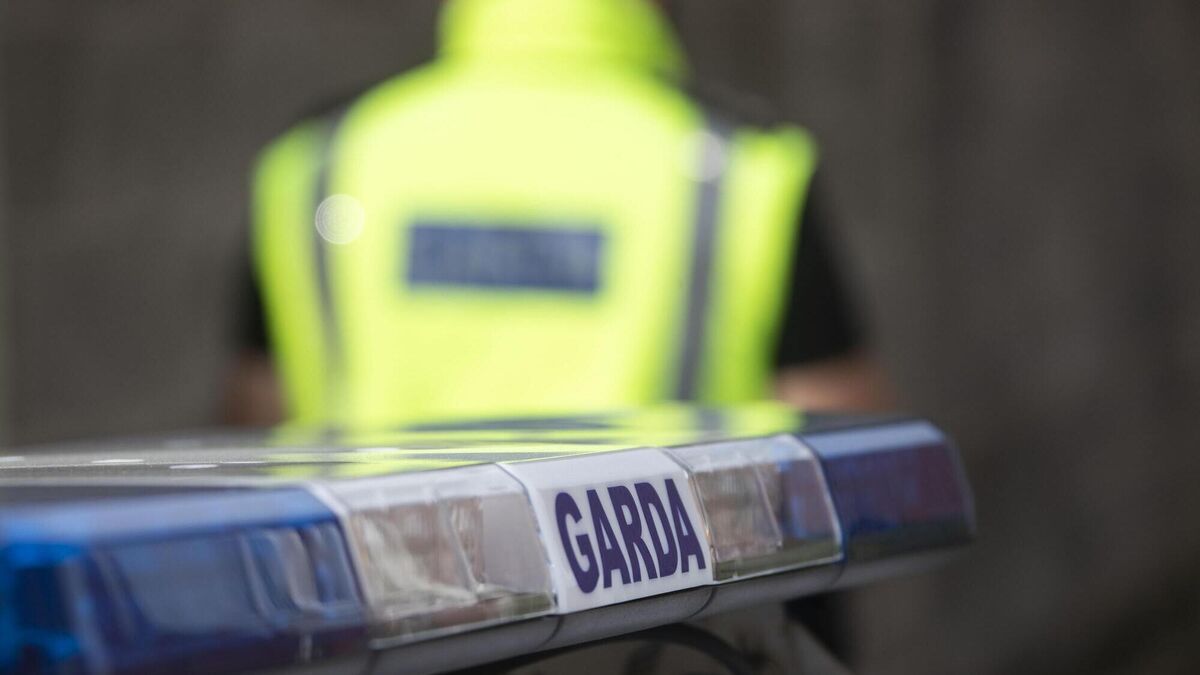 Garda assaulted and doused in petrol in 'vicious' early morning attack - Vimarsana News