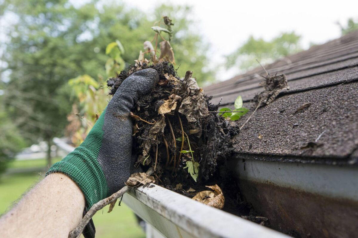 Keeping gutters clear is very important. Keeping gutters clear is very important.