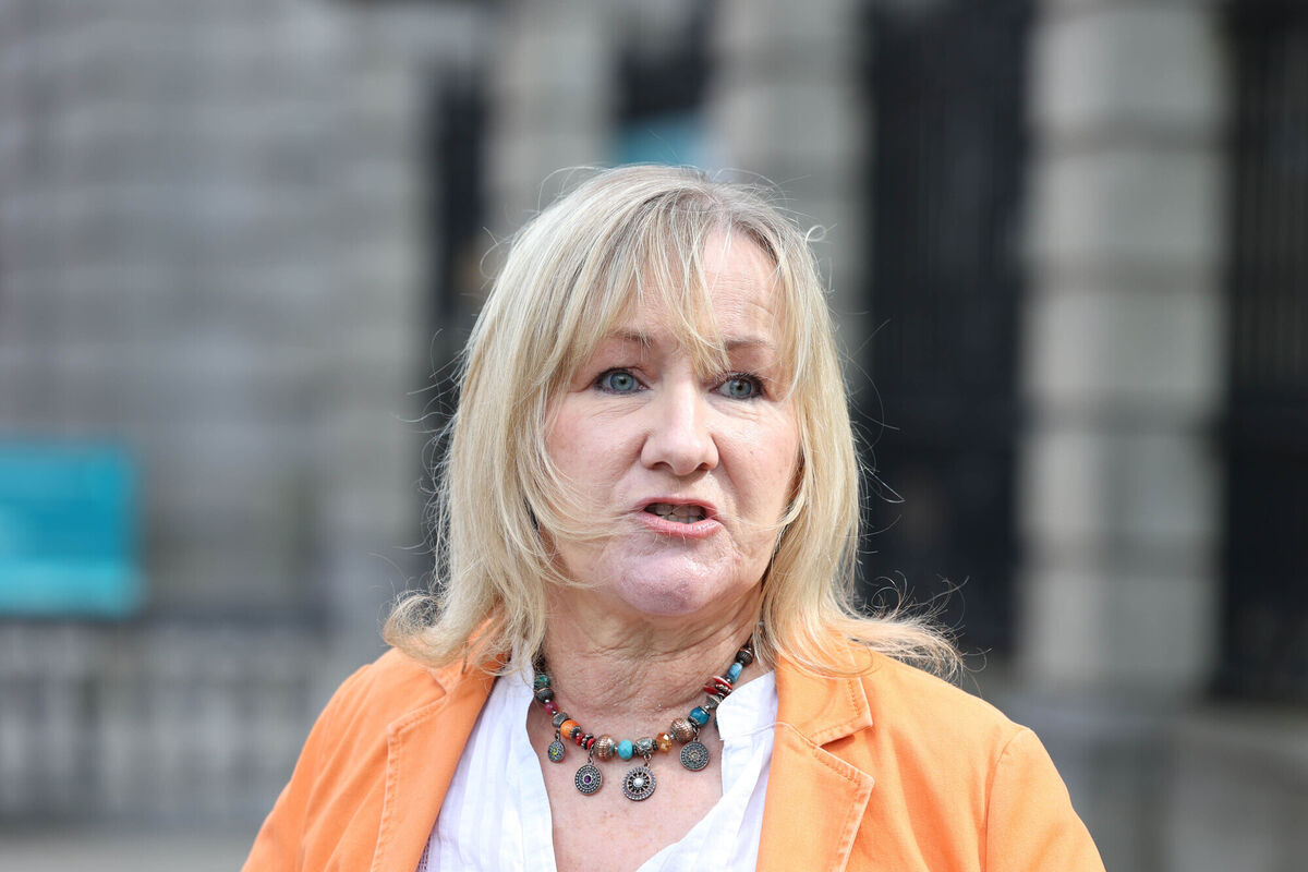 Sinn Féin TD Imelda Munster. Picture: Sam Boal / RollingNews.ie