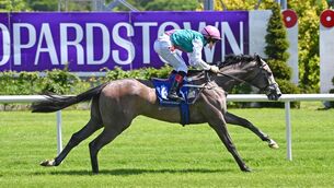 <p>Colin Keane steers Juncture to victory at Leopardstown last June. 	Picture: Healy Racing.</p>