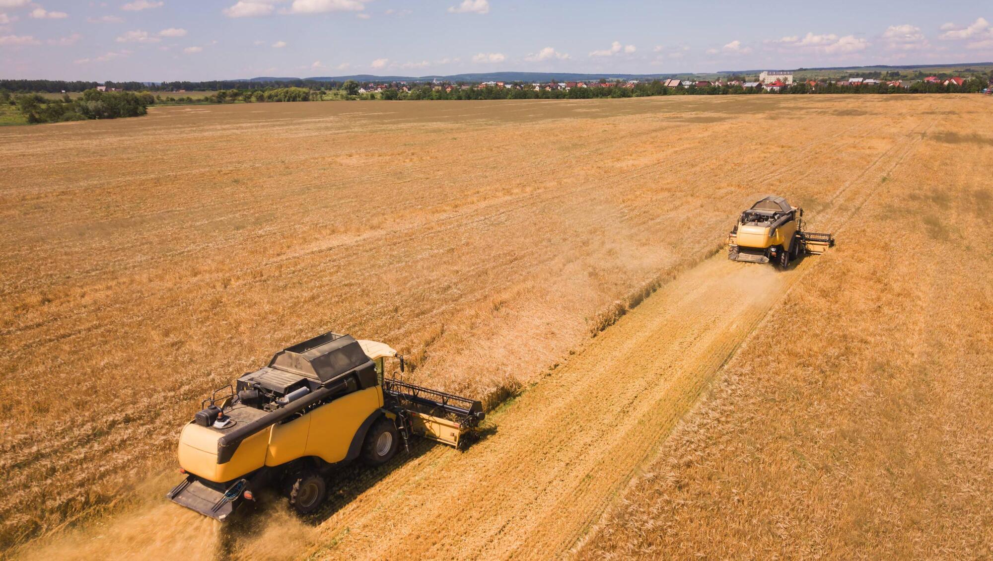 Wheat prices up 40% this week as war fuels widespread inflation fears