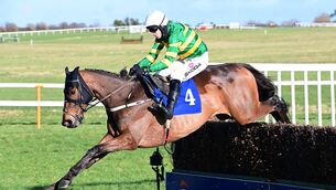 <p>Gentleman De Mee was a runaway winner  of his beginners' chase at Thurles last time out.  	Picture: Healy Racing</p>