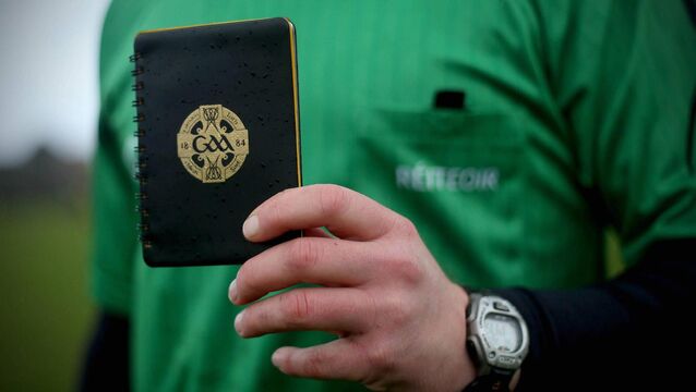 <p>Contesting his parking prosecution the GAA referee told the judge that he had no choice in the matter but to park his car outside the club grounds on a grass margin. File photo: INPHO/James Crombie</p>