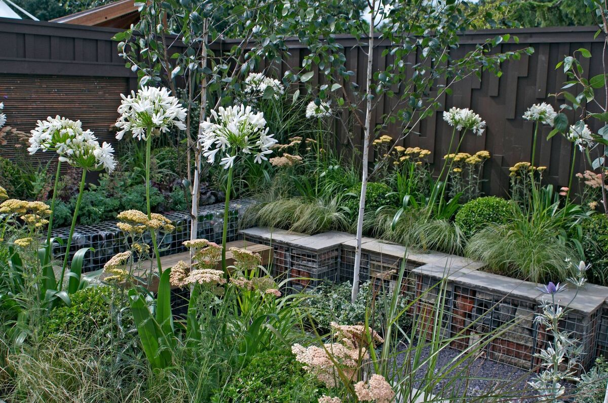 Planting within a small garden. 