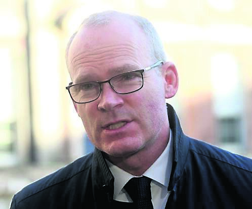 'Don't travel to Ukraine to deliver aid or take up arms', says Simon Coveney