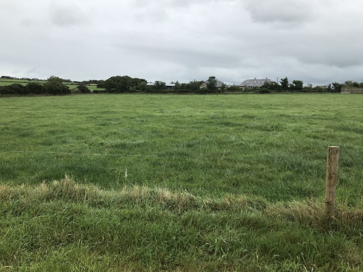 Some of the 27-acre farm at Addergown, Ballyduff, Co. Kerry. Some of the 27-acre farm at Addergown, Ballyduff, Co. Kerry.