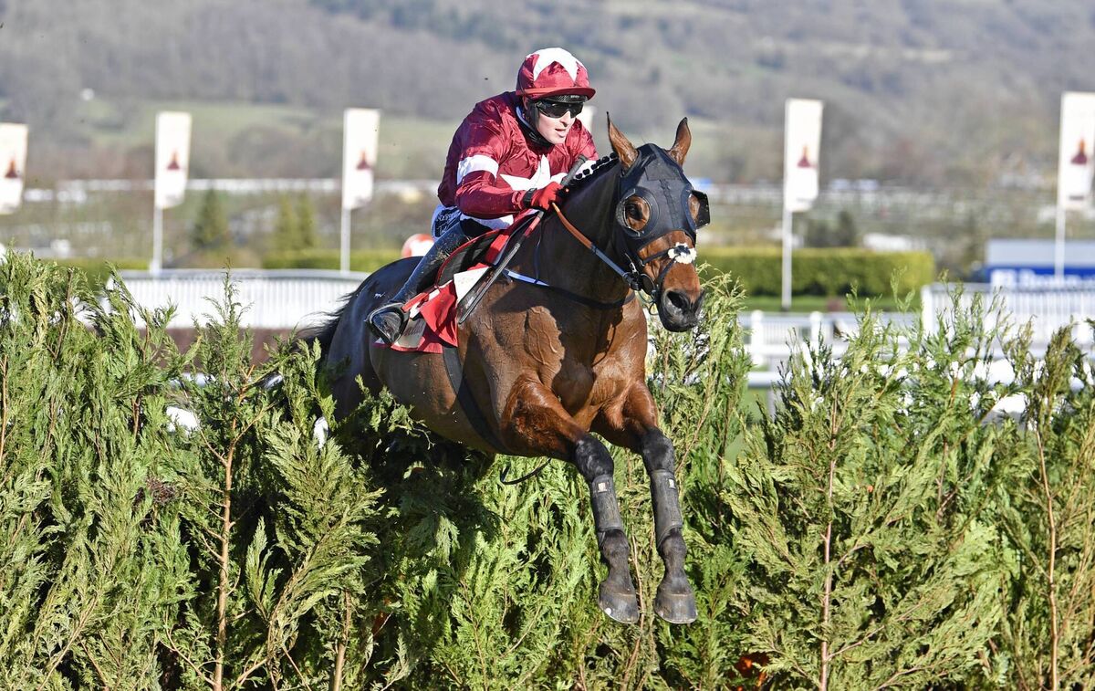 Keith Donoghue on Tiger Roll. Picture: INPHO/Francesca Altoft Keith Donoghue on Tiger Roll. Picture: INPHO/Francesca Altoft