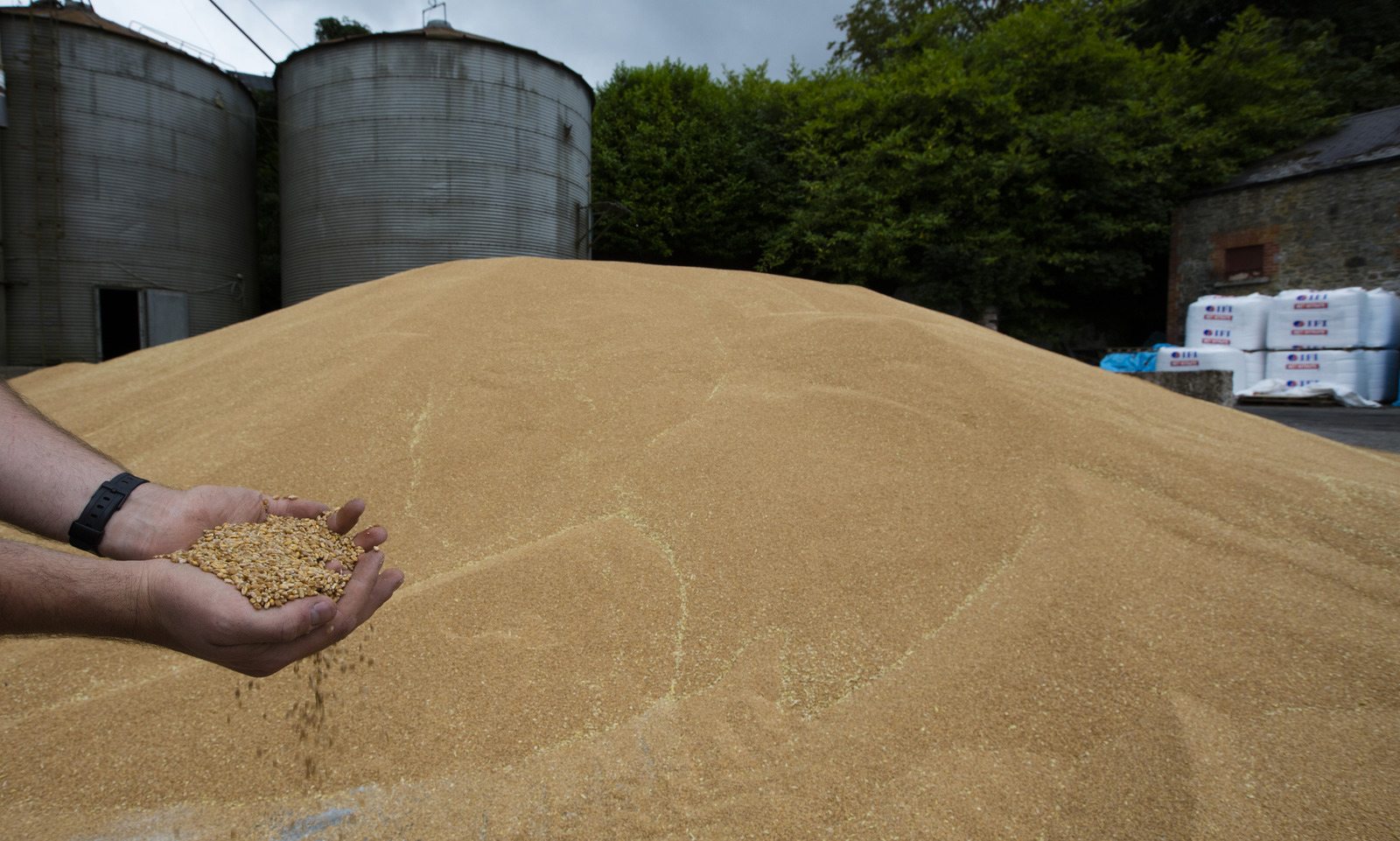 Food inflation expected 'to stay elevated through rest of year'