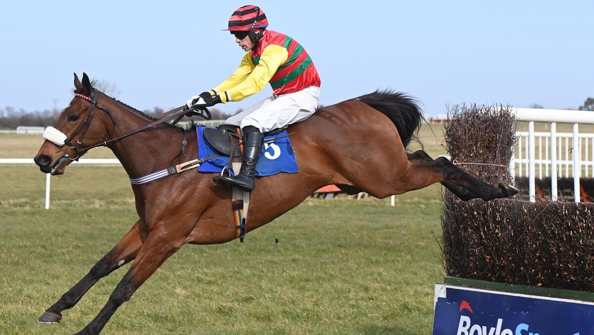  CLEAR: Max Flamingo and Denis O'Regan win the Horse &amp; Jockey Beginners Steeplechase. Picture: Healy Racing