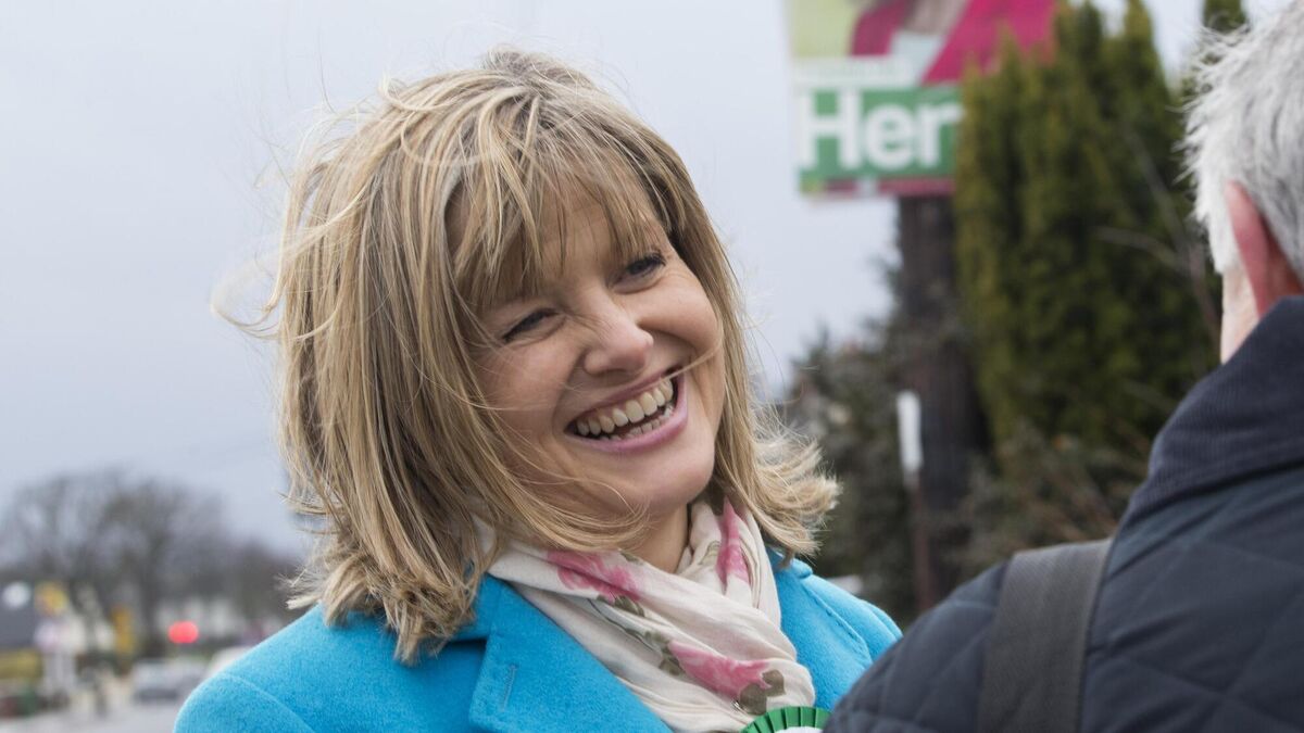 Deirdre Heney of Fianna Fáil, out canvass in Dublin Bay North in 2016. Picture: Fergal Phillips.