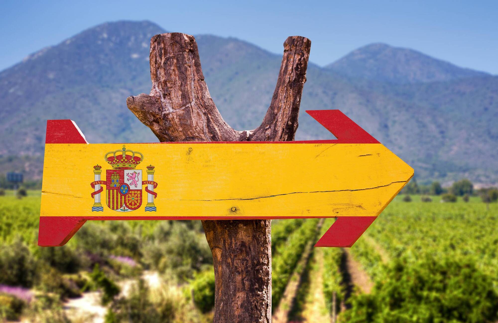 Wine with Leslie: You'll have change from €9 if you opt for this rich Spanish vino