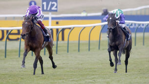 <p>Mother Earth won the Newmarket 1000 Guineas last season. 	Picture: Healy Racing</p>