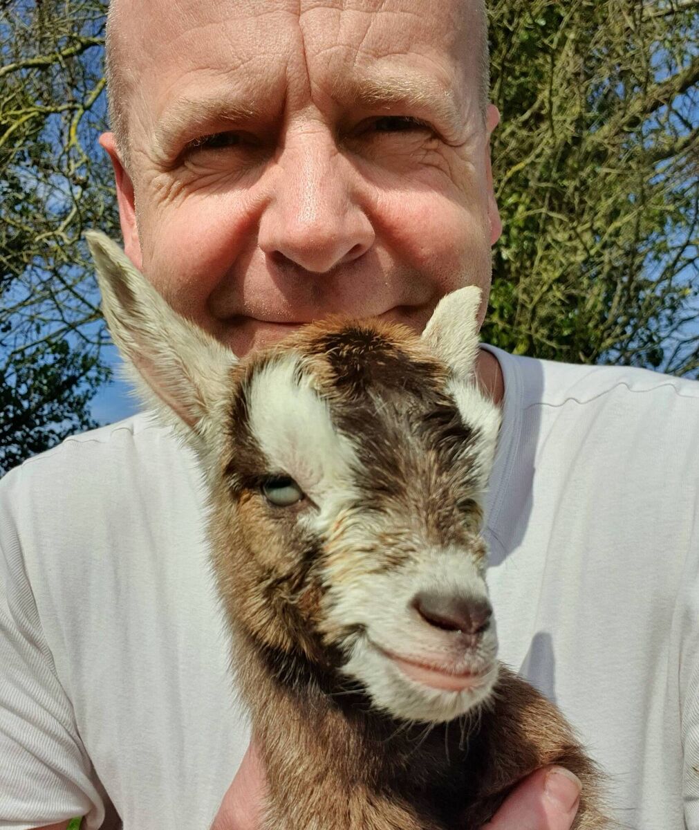 Francis Nesbitt with one of the triplet pygmy goat kids that are now missing from Croan Cottages in Co Kilkenny. 