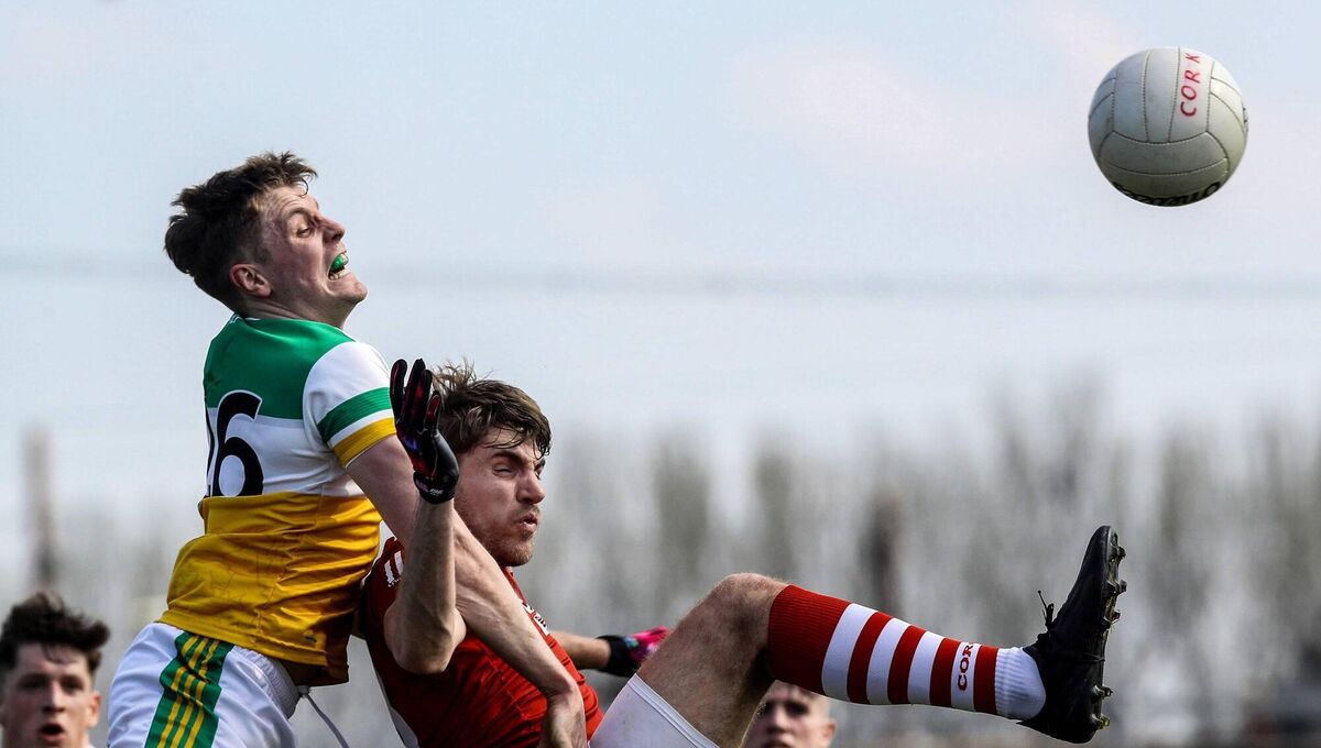 UP FOR GRABS: Offaly's Johnny Moloney and Ian Maguire of Cork 