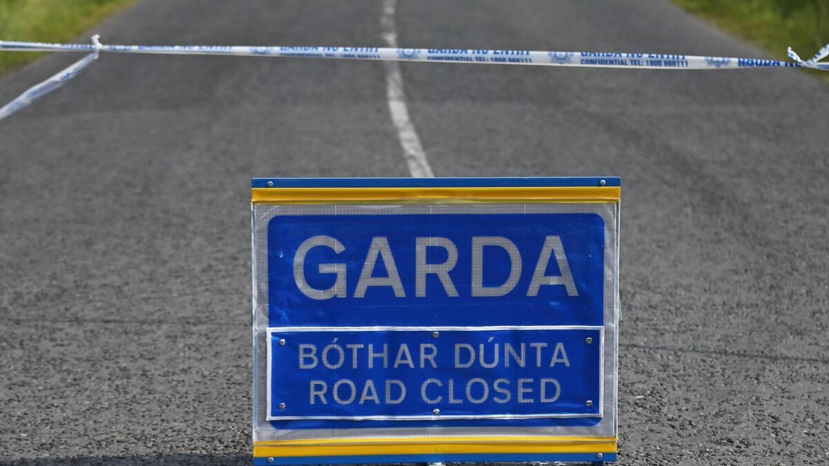 Woman in hospital after Limerick hit-and-run - Vimarsana News