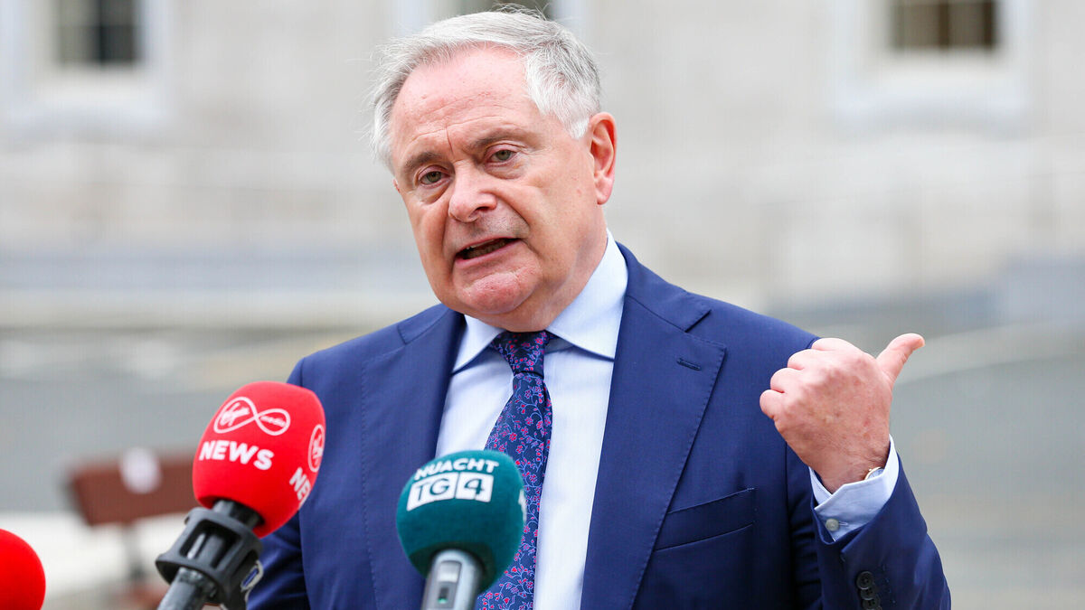 Irish politicians to visit Ukrainian refugees in Romania and Moldova - Vimarsana News