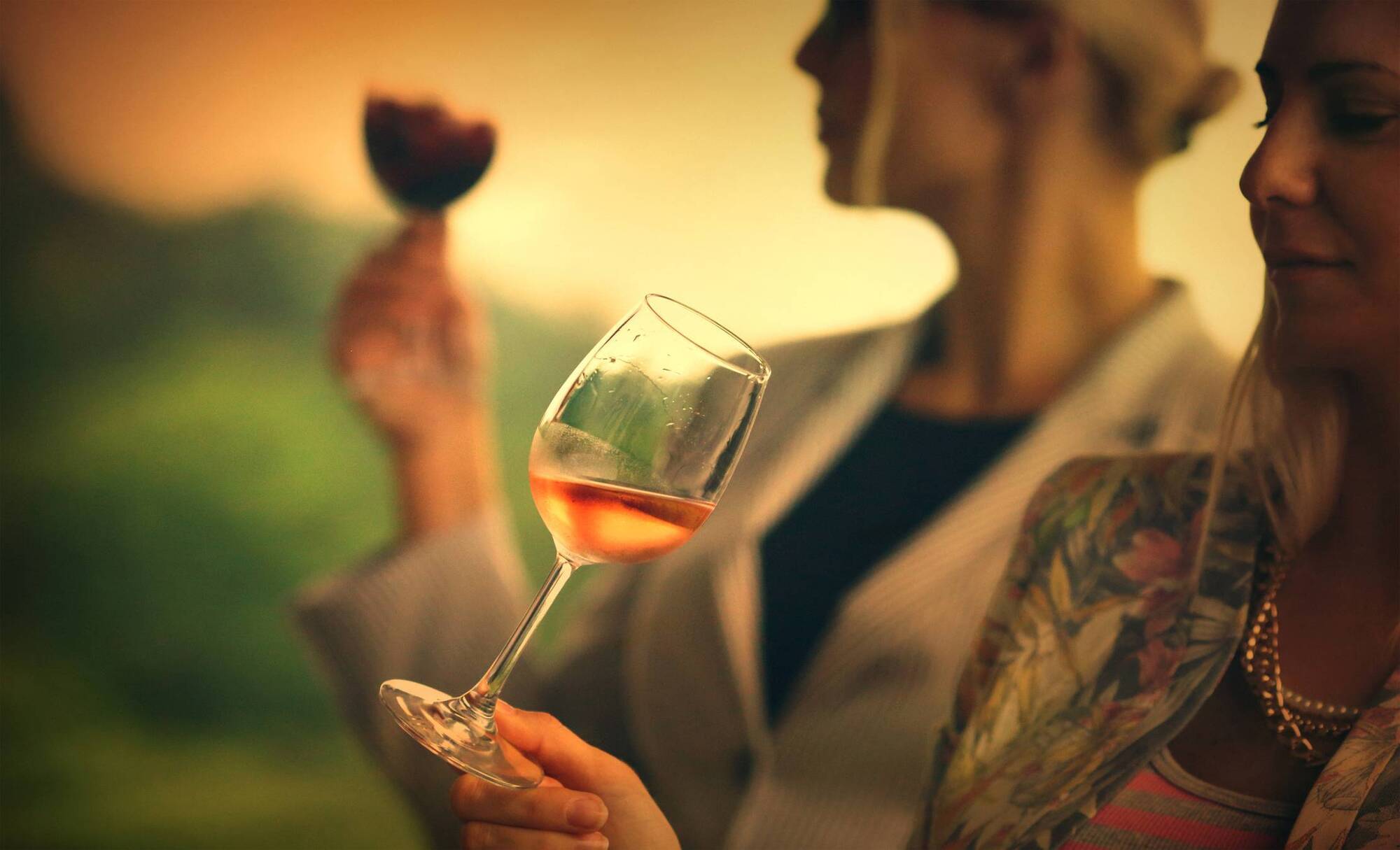 Wine with Leslie: Why a wine's scent is so important - plus bargain European bottles