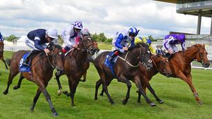 <p> Point Gellibrand (left), in action during a losing run to Atomic Jones and Colin Keane (centre) with  Shark Bay (right) and Chicago Soldier (2nd right) for trainer Ger Lyons at the Curragh last June. Picture: Healy Racing</p>