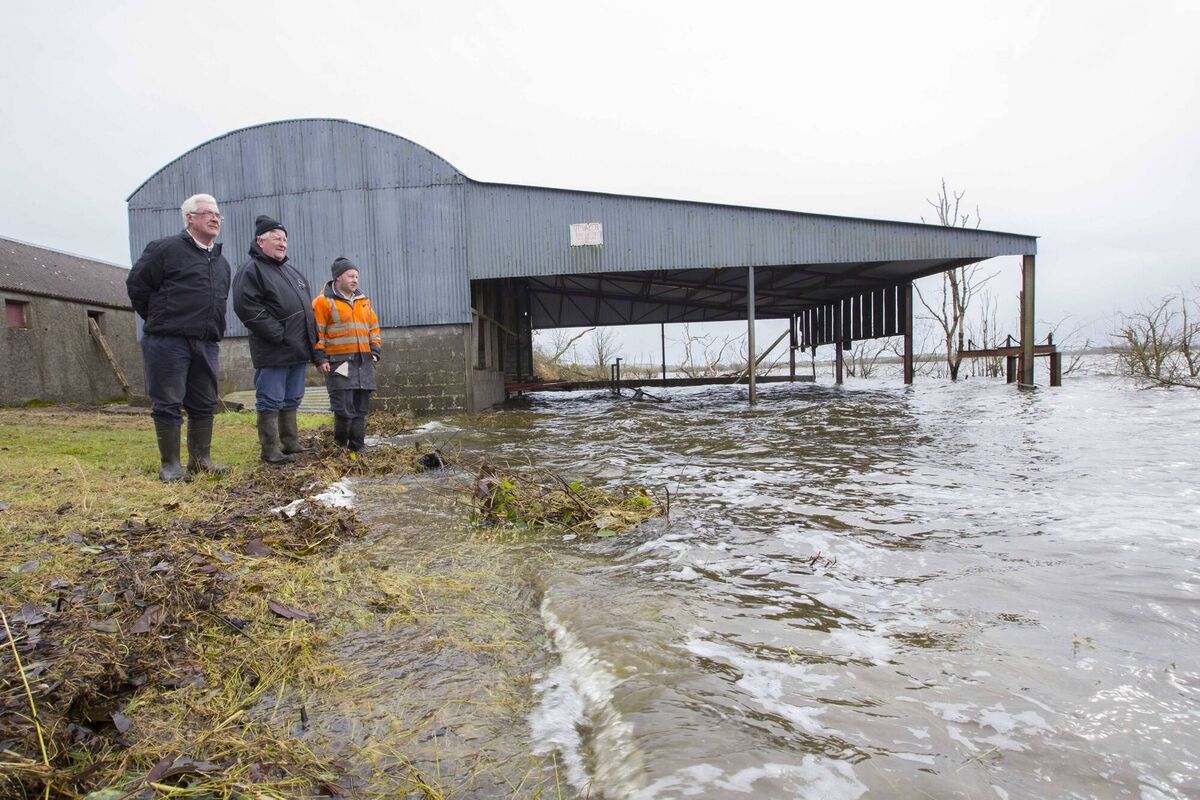 Farmer Tom Carney pictured with neighbours Cllr. Laurence Fallon and Leo Kenny. His sheep shed has been flooded by the swelling of Lough Funshinagh. Picture: Brian Farrell