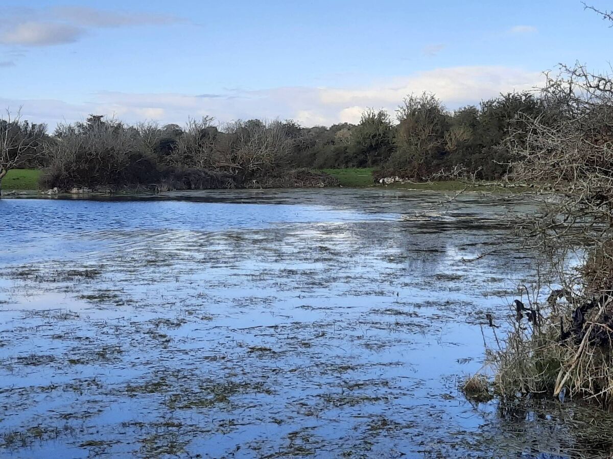 The rising water levels at Lough Funshinagh.