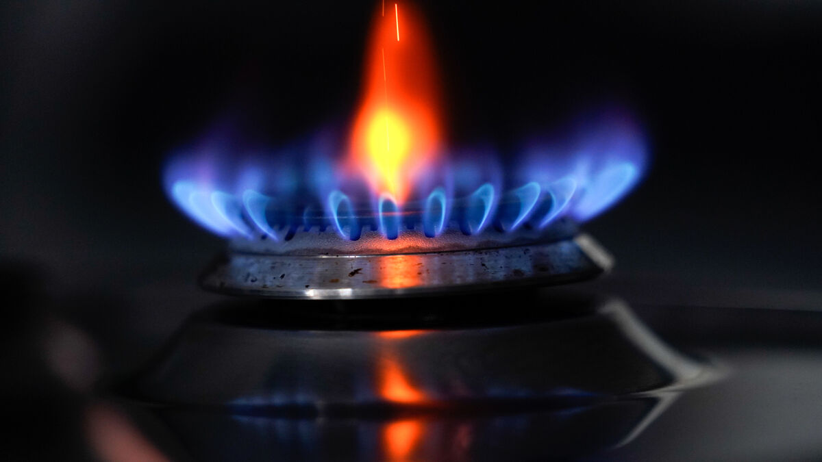 War in Ukraine increases urgency to reduce gas demand, Friends of the Earth say - Vimarsana News