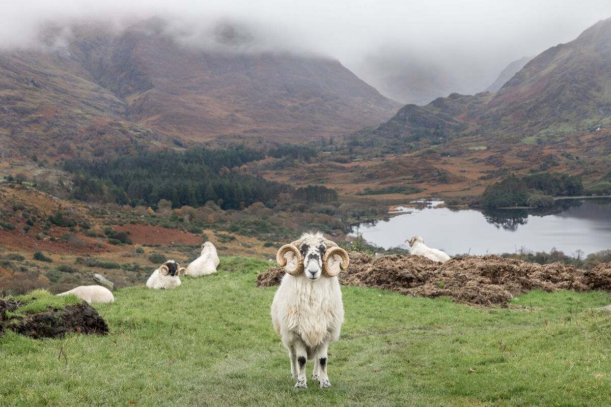The Healy Pass, Co. Kerry. The Healy Pass, Co. Kerry.
