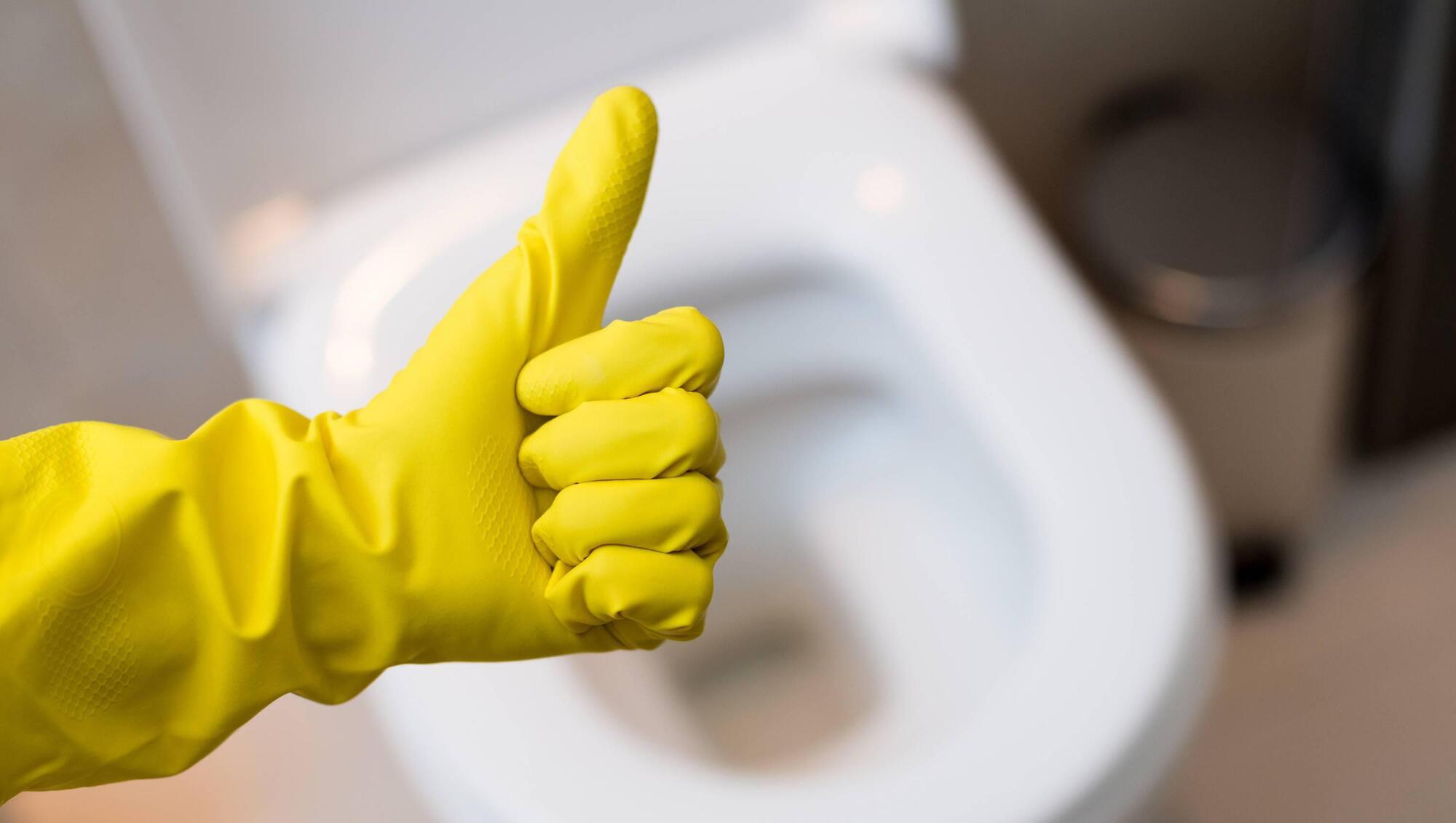 Life Hack: Four weird ways to clean a toilet that actually work